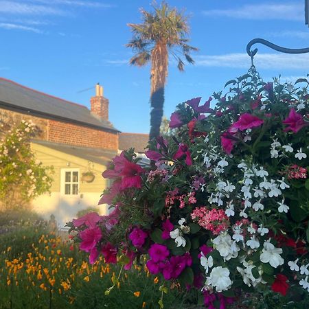 Bed and Breakfast Penwyth House Ньюки Экстерьер фото