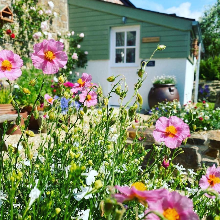 Bed and Breakfast Penwyth House Ньюки Экстерьер фото